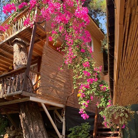 Large Bungalow With Sea View In Kabak Bay, Oeluedeniz Fethiye Extérieur photo