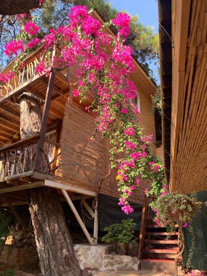 Large Bungalow With Sea View In Kabak Bay, Oeluedeniz Fethiye Extérieur photo