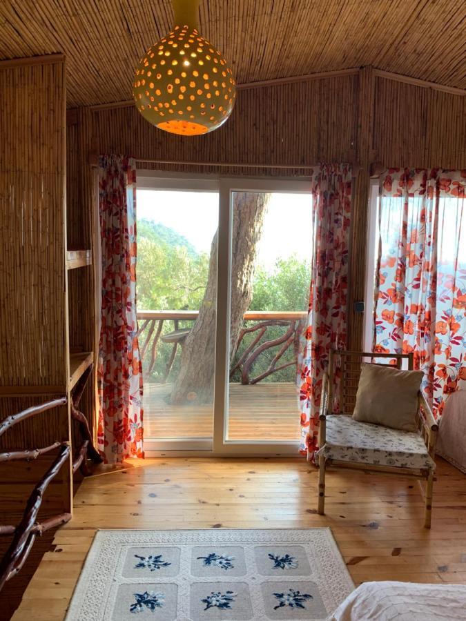 Large Bungalow With Sea View In Kabak Bay, Oeluedeniz Fethiye Extérieur photo