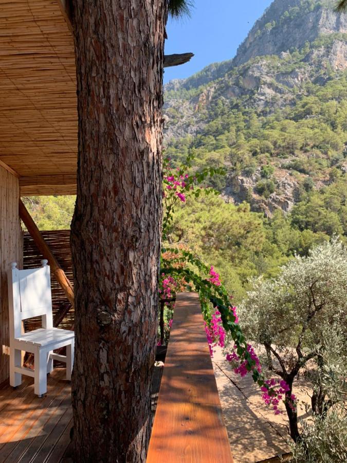Large Bungalow With Sea View In Kabak Bay, Oeluedeniz Fethiye Extérieur photo